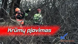 Krūmų Pjovimas, Medžių &scaron;alinimas kaip Pjauti krūmus Kelta