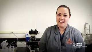 Brewing Careers Beyond the Brewery