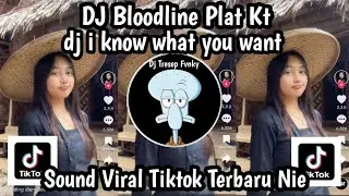DJ BLOODLINE PLAT KT-DJ I KNOW WHAT YOU WANT SOUND REMIX VIRAL YANG KALIAN CARI JADAG JEDUG MANGKANE