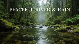 Soothing Steady Rainfall with Natural River Sounds for Calm Nights and Deep Rest