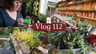 VLOG 112🌿 Je rempote des EPIPHYLLUMS | On a bien avancé cette semaine dans le jardin et la serre😃