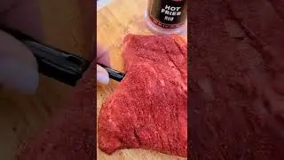 Hot Fries Grilled Tri-Tip | The MeatStick #Shorts