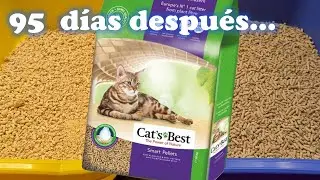 Comparando Cat's Best Smart Pellets despu&eacute;s de 95 d&iacute;as (y abriendo una bolsa nueva de 10 kilos)