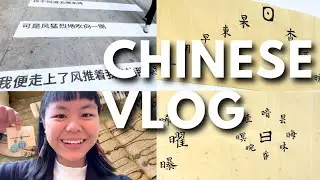 Chinese Vlog | 跟我一起去逛艺术市集！ (Eng Sub & Pinyin)