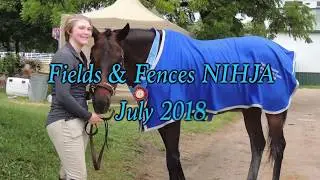 FIELDS AND FENCES NIHJA