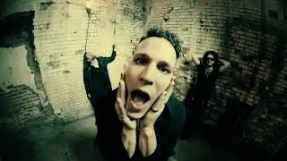 Added Color - Animal (Official Music Video)