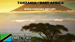 Explore Tanzania, the hidden gem of East Africa