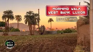Morning Walk on the West Bank, 4K Virtual Walk, Sunrise at the Nile, Luxor Egypt 2021