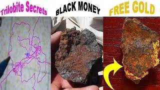 Final 2024 Gold Prospecting Video, Trilobite Secrets + GOLD GIVE AWAY !!