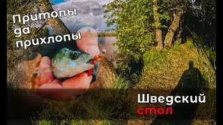 Ищем и выманиваем бастующих окуней на пруду