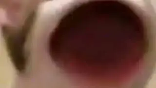 bop cat goes oof