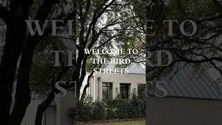 Wanderlust Sundays | Inside Dallas&rsquo; Neighborhoods | The Bird Streets #dallasneighborhoods