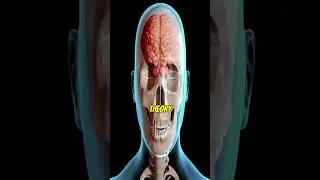 What Is Neuroscience?