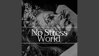 No Stress World