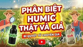 Phân Biệt Humic Thật Và Giả: Cách Nhận Biết Humic Mỹ Chính Hãng, Tránh Mua Phải Hàng Kém Chất Lượng!