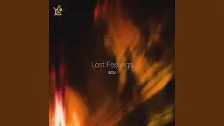Lost Feelings
