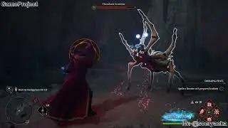 Hogwarts Legacy Gameplay Indonesia | Tangled Web &ndash; Sarang Laba-Laba Paling Mengerikan!