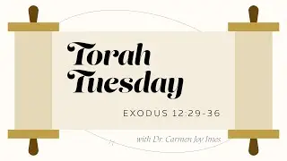 Torah Tuesday - Exodus 12:29-36