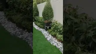 Lawn Garden Transformation By Garden G | Garden Makeover | Cyprus Plants | Stones Work | Chandni |