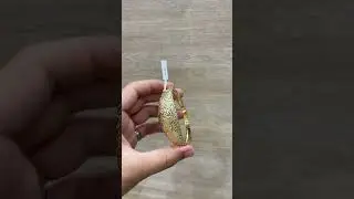 Bracelet Filligr&eacute;e, ذهّب عيار 18 🥹❤️&zwj;🔥