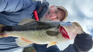 Ice Fishing for Bass  #fishing #icefishing #outdoors #fish 