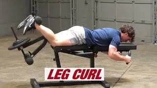 Train Smarter: Leg Extensions & Curls on the Body-Solid GLCE365B Bench!