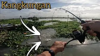 BAGONG SPOT! SIGURADONG HARVEST DITO!