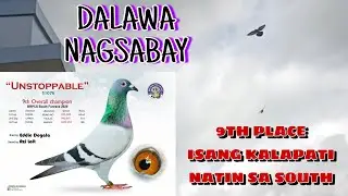 1ST LAP FURNACE  NA CUT OFF ANG ISA KONG KALAPATI/ FINAL LAP ANINI-Y #PIGEON #pigeonracing 