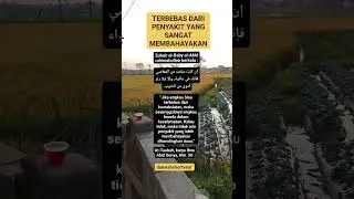 TERBEBAS DARI PENYAKIT BAHAYA #tausiyah #dakwah #ceramah #islam #short #shorts