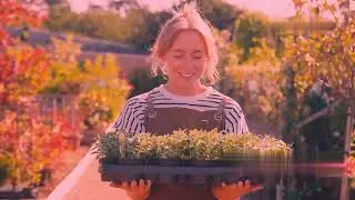 Herb Day 2025 Discover the Healing Power of Nature&rsquo;s Best Herbs