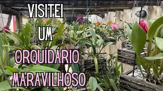 ORQU&Iacute;DEAS: Visitei um ORQUID&Aacute;RIO maravilhoso e fiquei ENCANTADA