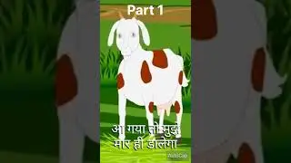 ek bakri Jo ki garvati thi 😘😘😘 #birds #viral #video