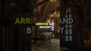 When Animals Stood Trial: The Bizarre Legal History of Medieval Europe! #historyunveiled #shorts