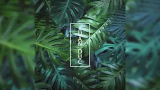 BINNE - In The Jungle (Audio)
