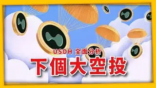 下個大空投 ? Hyperliquid 首次治理投票：USDH 全面分析 #zeeverse #forest #etherfi #比特幣 #ethereum #bitcoin （1266集)