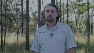 Monitoring Tree Longevity