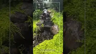 Backyard Pondless Waterfall with Bright Blooms & Custom Landscaping