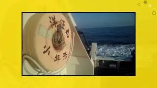 カツオ釣り。爆釣となるか？！