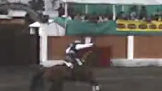 Rejoneo