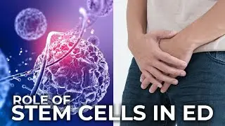 Stem Cell Therapy for Erectile Dysfunction (ED): A Promising Regenerative Approach