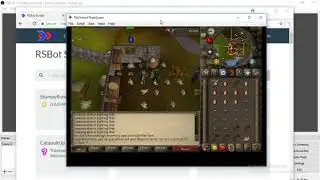 How to bot on Runescape 2019 (OSRS/RS3)