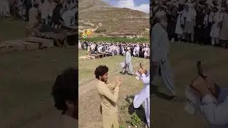 What action will justify this killings