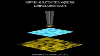 Mohammad Hamidian: Directly Imaging Cooper-Pair Density Waves