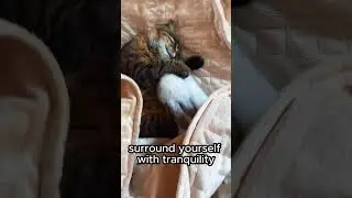 Unlock the power of sleep!