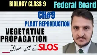 Bulbs , Natural VEGETATIVE PROPAGATION|| CLASS 9 BIOLOGY FEDERAL BOARD ||NBF