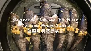 Steamed Fish w/ Pu Ning Yellow Bean Sauce | 普寜豆醬蒸烏絲斑