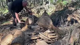 Clone Showdown! Ms380 25in test