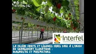 Sem Them 08 | Filière fruits & légumes frais au CC, diagnostic - perspectives : replay du 18/12/2025