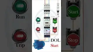 DOL Starter #Short Video