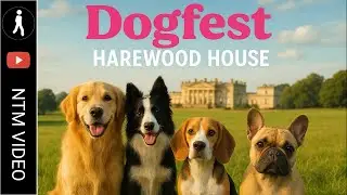 Dogfest, Harewood House, Yorkshire.
